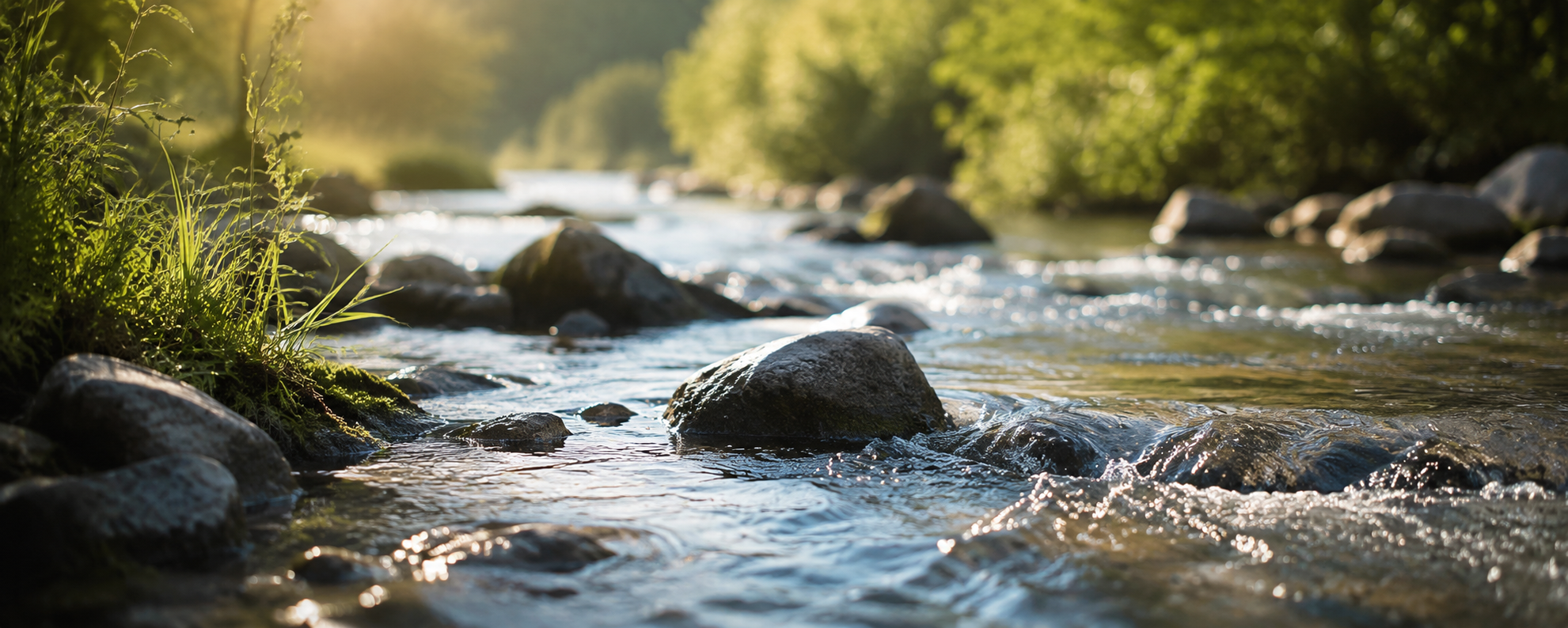 Ruhiger Fluss in der Natur, Symbol für Fließen und Harmonie in der TCM